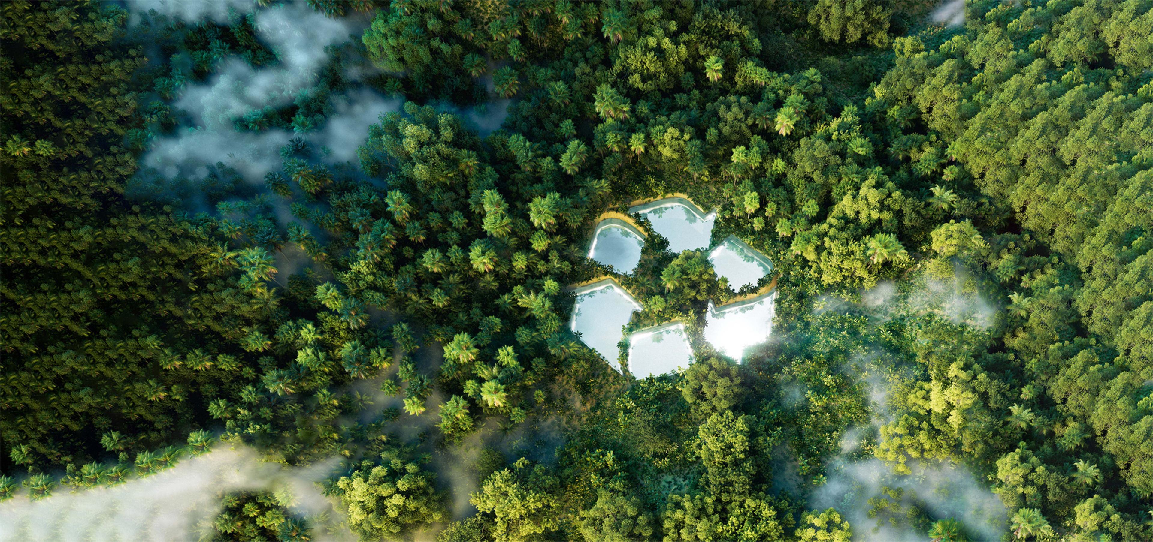 sustainable future